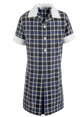 Blue/White Check Summer Dress